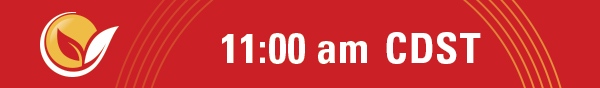 11 am CDST